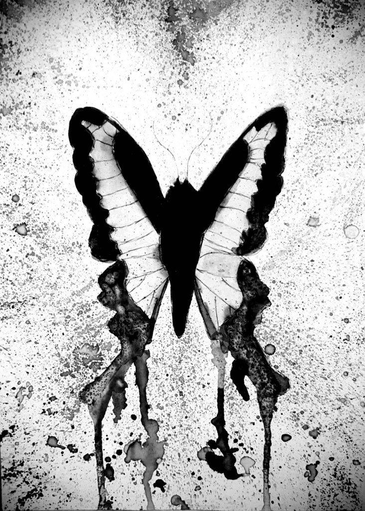 A black-and-white butterly.